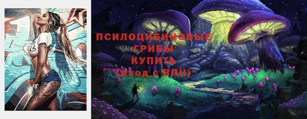 тгк Алексеевка