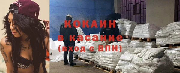 сатива Осинники